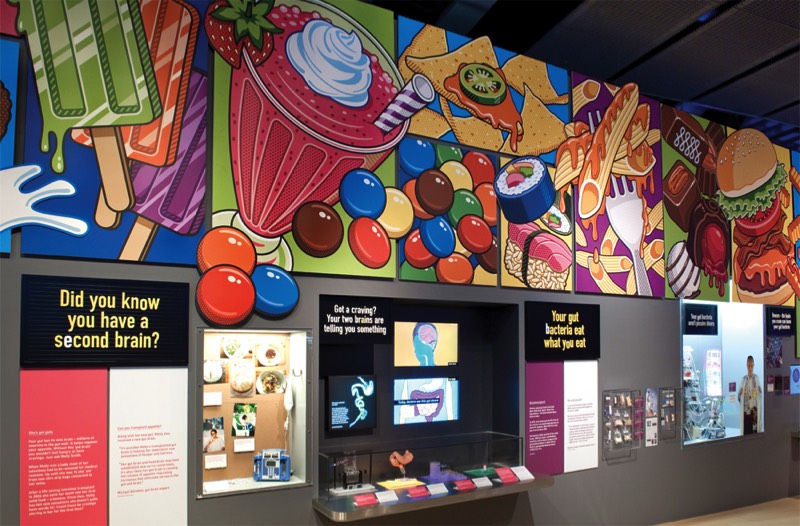 The Science Museum of London Cravings Exhibit